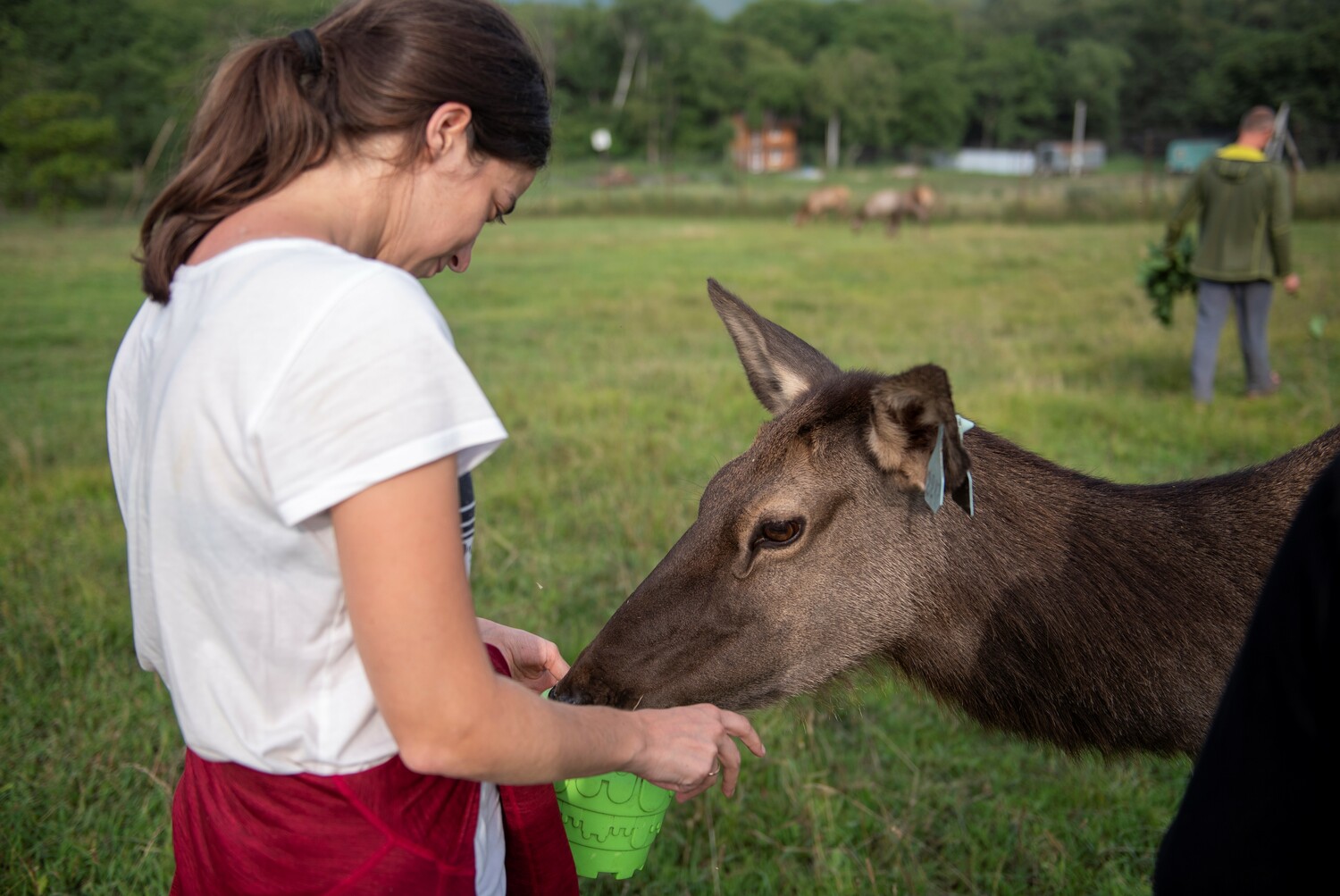 Индивидуальные экскурсии Экскурсия на ферму Маралов