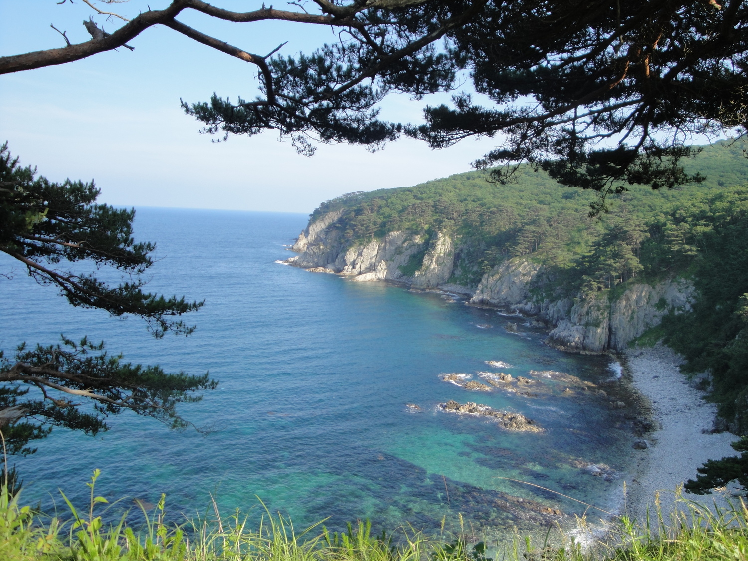 Полуостров Гамова 